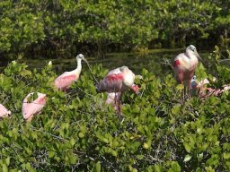 Florida_2007-2008-039